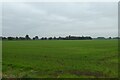 Farmland south of Hutton Sessay