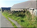 Farm sheds on Island Road