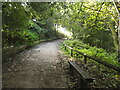 The path up from Mile Haven