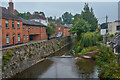 Tiverton : River Lowman