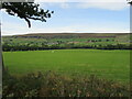 Near Low Gill Beck Farm