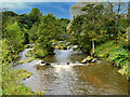 SD7912 : River Irwell at Burrs Park by David Dixon