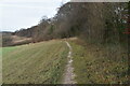 Footpath by Middle Wood