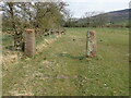 Two gritstone pillars at a field