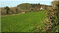 Field near Hood Cottages