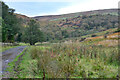 NT4233 : Farm road by the Glenkinnon Burn by Jim Barton