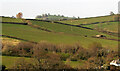 Farmland near Staverton