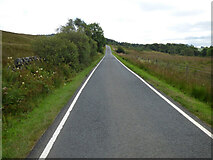 NR9275 : The B8000 road by Thomas Nugent