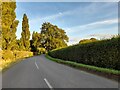 Road through Wotton Underwood