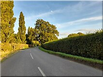 SP6715 : Road through Wotton Underwood by David Howard