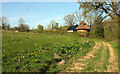 Approaching Love Barn