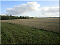 SK4864 : Stubble field near Rowthorne by Jonathan Thacker