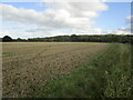 SK4965 : Stubble field near Rowthorne by Jonathan Thacker