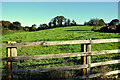 Field behind Seskinore Village