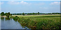 Canalside pasture north-west of Weston