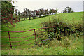 H4266 : A rusty gate along Baronagh Road by Kenneth  Allen
