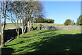 Corner of the New Graveyard, Kirkcowan