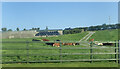 Farm buildings at Goward TD