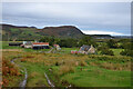 Autumn Colours at Torboll Farm, Strath Fleet, Sutherland