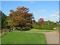 SE2853 : Autumn colour at Harlow Carr Gardens, Harrogate by Malc McDonald