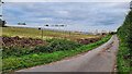 Polytunnels by Hopyard Lane