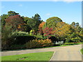 SE2853 : Autumn colour at Harlow Carr Gardens, Harrogate by Malc McDonald