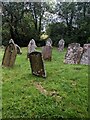 Ancient gravestones, Wolvesnewton