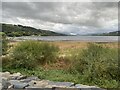 Llyn Tegid