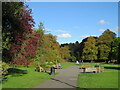 SE2955 : Autumn colours in Valley Gardens, Harrogate by Malc McDonald