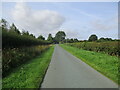 Cowden  Lane  back  toward  Withernwick