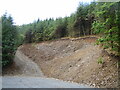 Excavations in Brechfa Forest below Rhosddu, Rhydargaeau Road, Carmarthen