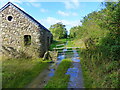 Track with reflective puddles, Whitlow, Martletwy, Pembrokeshire