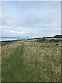 NH9285 : Footpath to Tarbatness by Dave Thompson