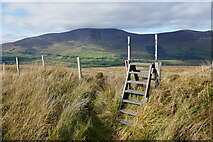 V5381 : Stile on the Kerry Way between Waterville and  Cahersiveen by Hansjoerg Lipp