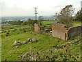 Ruin alongside Halls Road