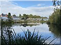 Duck pond at William Wheat