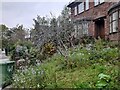 Garden on Lyttelton Road, Hampstead Garden Suburb