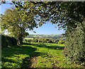 Looking towards Owler Bar