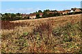 View north east from Bishop