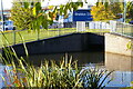 Ridgacre Branch Canal at Swan Island