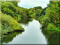 River Nene, near to Higham Ferrers