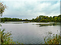 Nene Wetlands Nature Reserve, Delta Pit