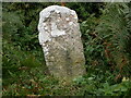 Old Boundary Marker on Halls Road