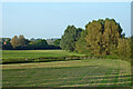 Fields by the River Penk near Stafford