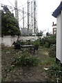 TQ3177 : The derelict garden of the derelict Cricketers pub by Marathon