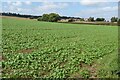 Farmland at Stockton