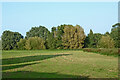 Grass and woodland near Radford Bank in Stafford