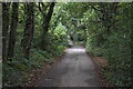 Track beside course of former railway