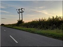 SP7807 : Electricity cables in Ford by David Howard