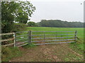 Gate on path to Egypt Woods